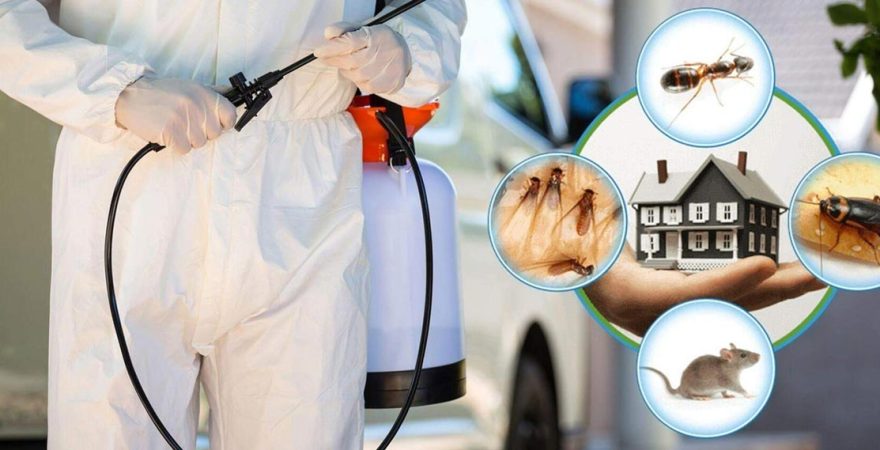 Kalkandere Böcek İlaçlama