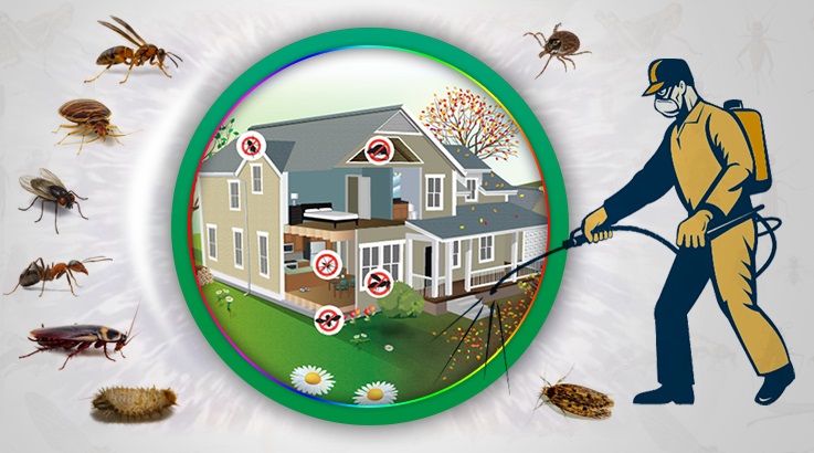 Kalkandere Böcek İlaçlama