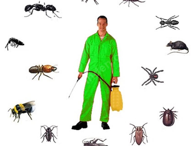 Kalkandere Böcek İlaçlama